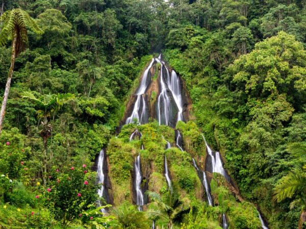 ¡Termales de Santa Rosa de Cabal con Bioparque Ukumari!